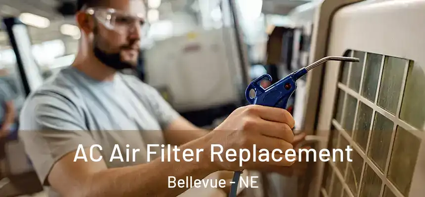  AC Air Filter Replacement Bellevue - NE