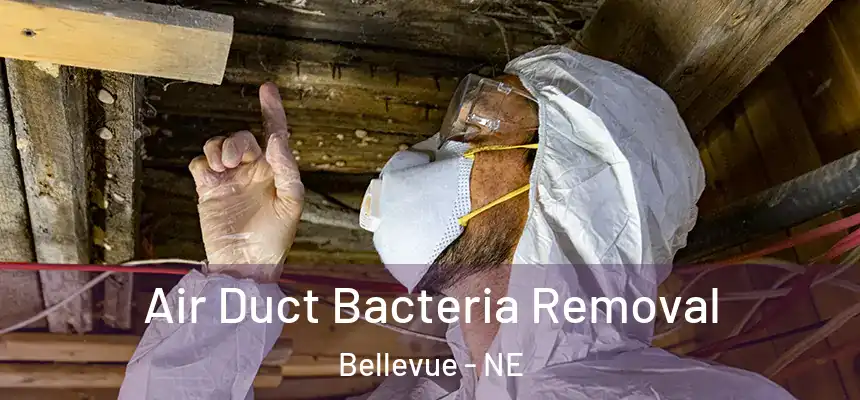  Air Duct Bacteria Removal Bellevue - NE