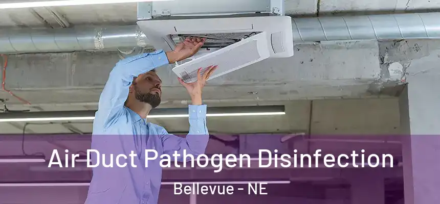 Air Duct Pathogen Disinfection Bellevue - NE