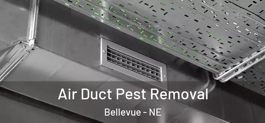 Air Duct Pest Removal Bellevue - NE
