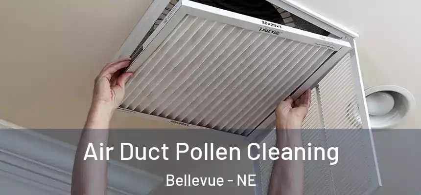  Air Duct Pollen Cleaning Bellevue - NE