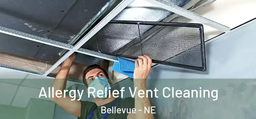  Allergy Relief Vent Cleaning Bellevue - NE