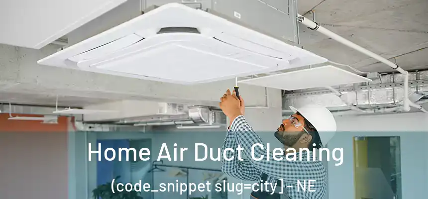  Home Air Duct Cleaning (code_snippet slug=city] - NE