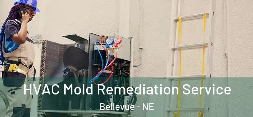  HVAC Mold Remediation Service Bellevue - NE