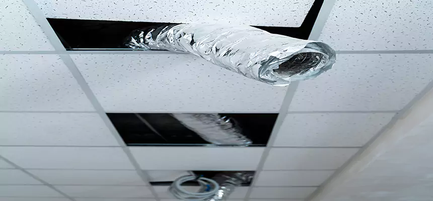 Affordable HVAC Sanitizing After Pest Removal in Bellevue