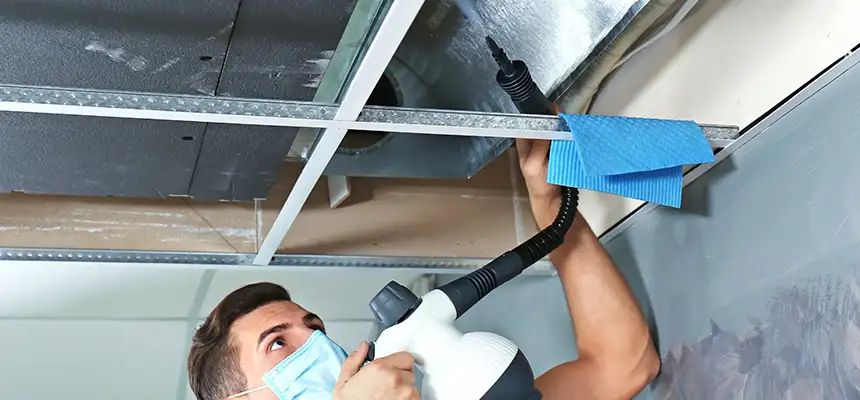 Our Air Duct Rodent Removal Services in Bellevue, NE