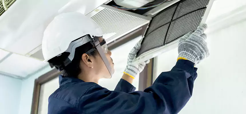 Our Mold & Mildew Removal from Air Ducts Services in Bellevue, NE