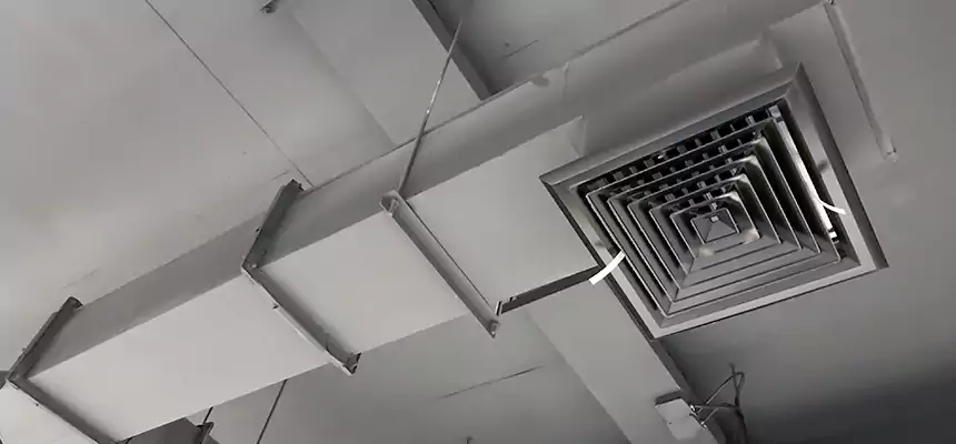 Our Rodent Droppings In Vents Services in Bellevue, NE