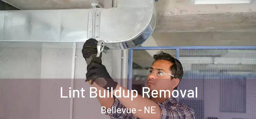  Lint Buildup Removal Bellevue - NE