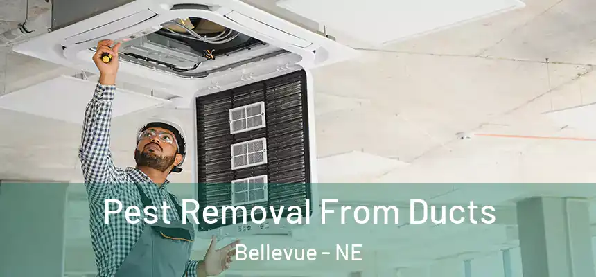 Pest Removal From Ducts Bellevue - NE