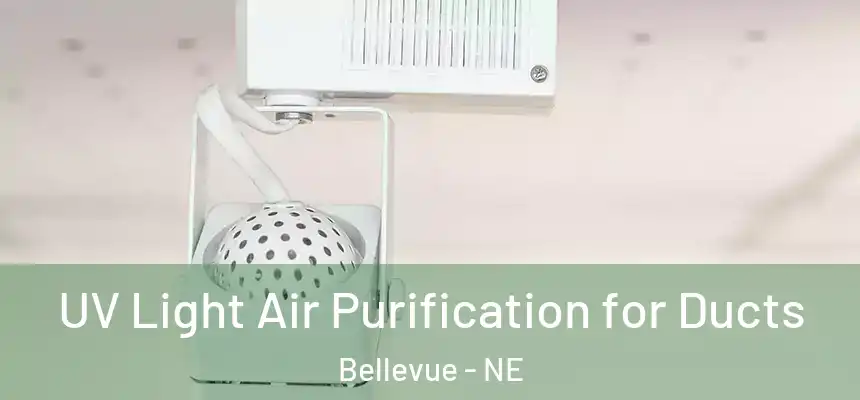  UV Light Air Purification for Ducts Bellevue - NE